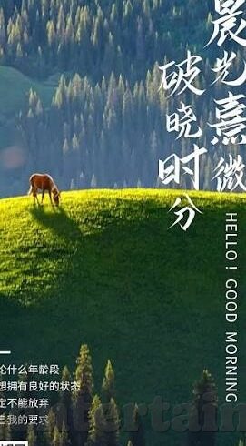 可口可乐赞助世界杯-可口可乐与世界杯,品牌与激情的碰撞