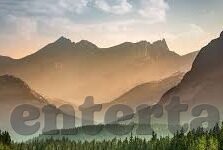森林舞会看灯密码打法-森林舞会中的光影密码与策略打法