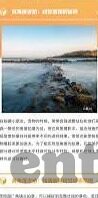 足球比分视频直播pp-足球比分视频直播PP，球迷的掌上观赛神器